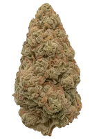 Banana Kush CBD